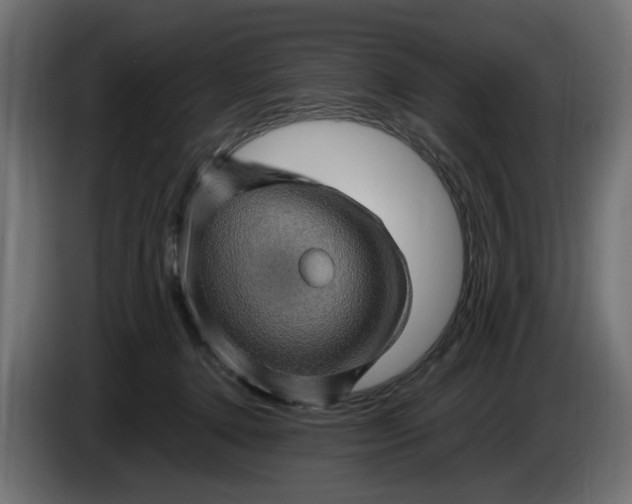 X0000087420368200705041312