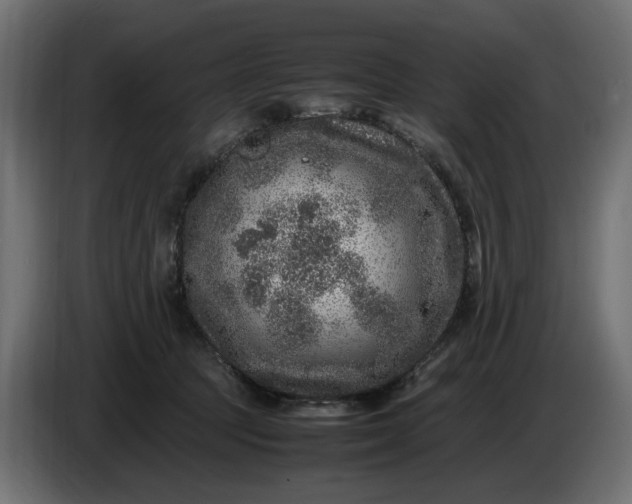 X0000087420369200705041312