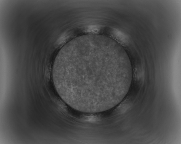 X0000087420370200705041312