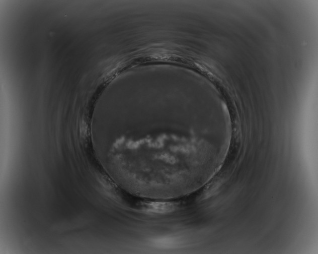 X0000087420371200705041312
