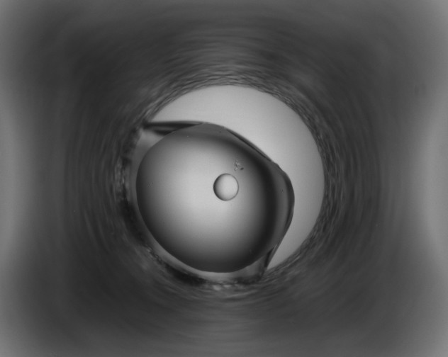 X0000087420372200705041312