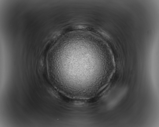 X0000087420373200705041312