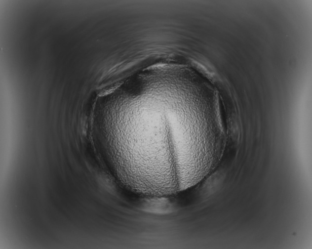 X0000087420374200705041312