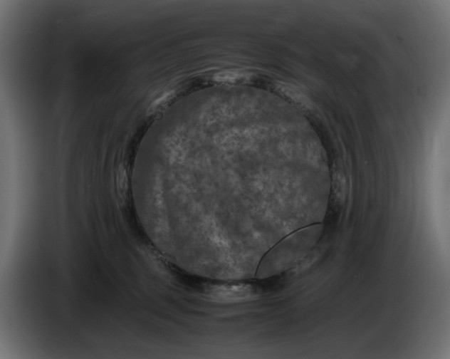 X0000087420375200705041312
