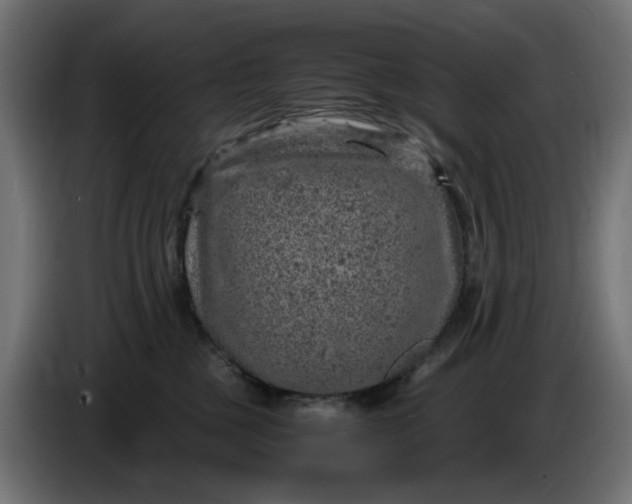 X0000087420377200705041312