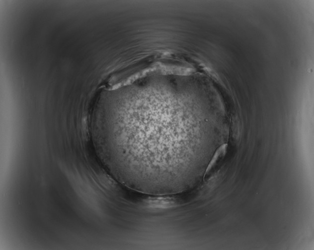X0000087420378200705041312