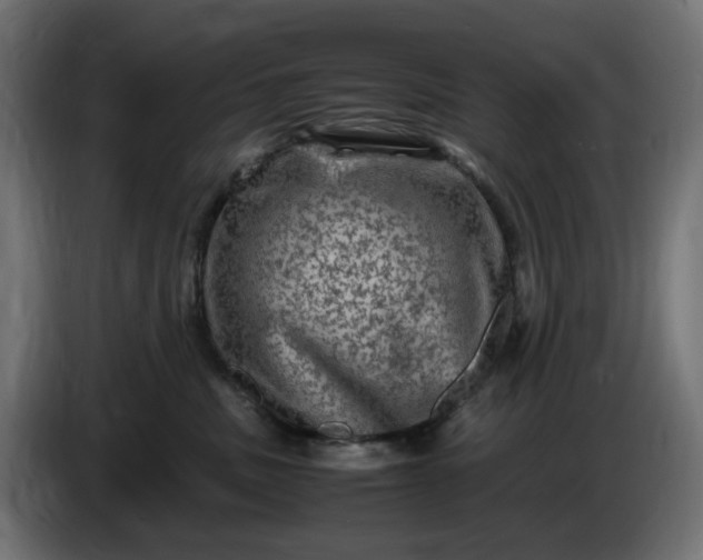 X0000087420379200705041312