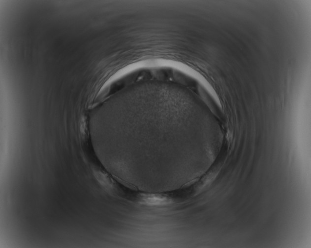 X0000087420380200705041312