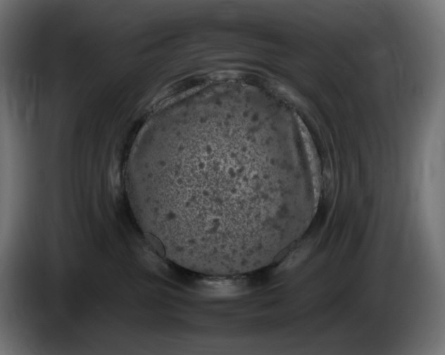 X0000087420381200705041312