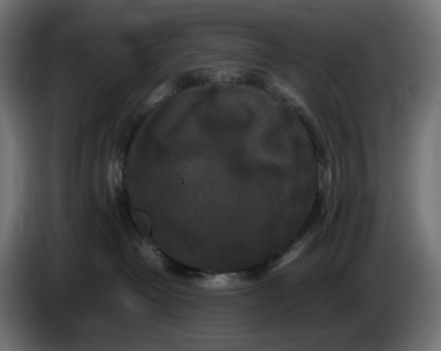 X0000087420382200705041312