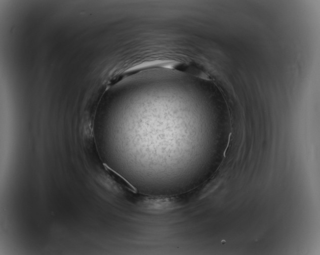X0000087420384200705041312