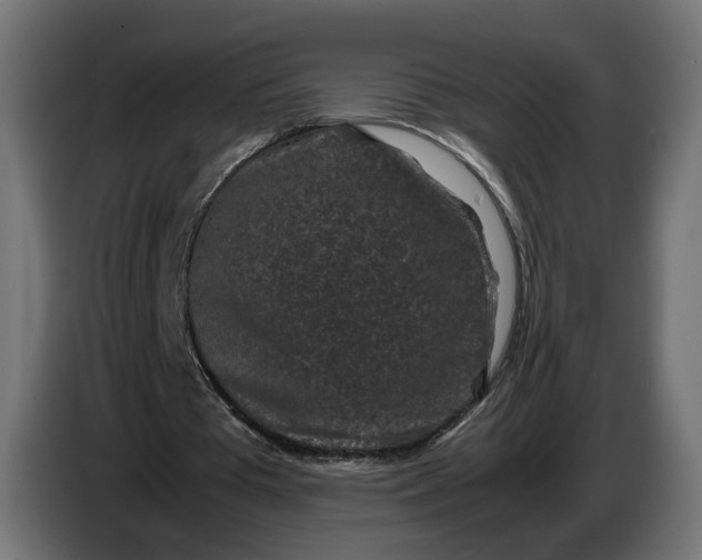 X0000087420385200705041312