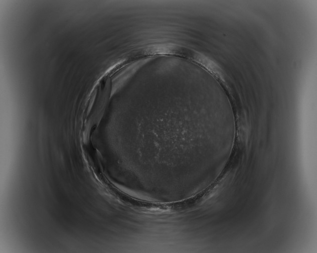 X0000087420386200705041312