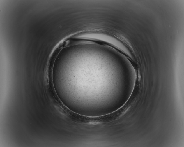 X0000087420388200705041312