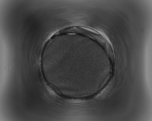 X0000087420389200705041312