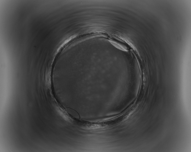 X0000087420390200705041312