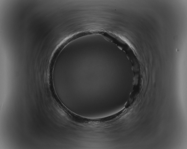X0000087420391200705041312