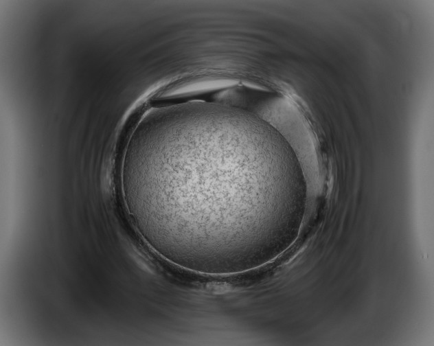 X0000087420392200705041312