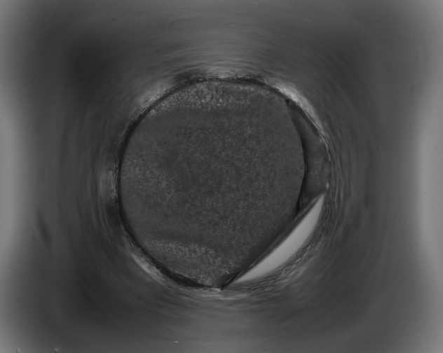 X0000087420393200705041312
