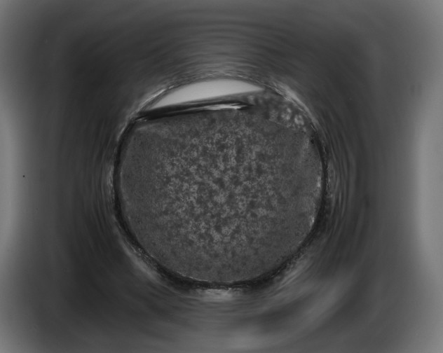 X0000087420394200705041312