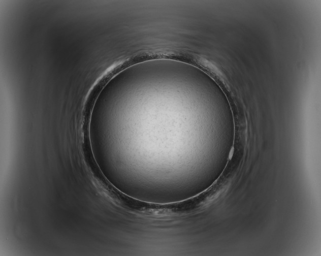 X0000087420395200705041312