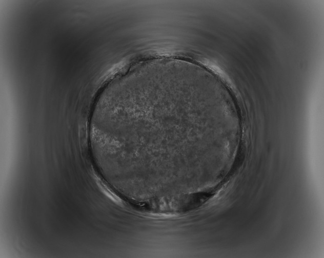 X0000087420397200705041312