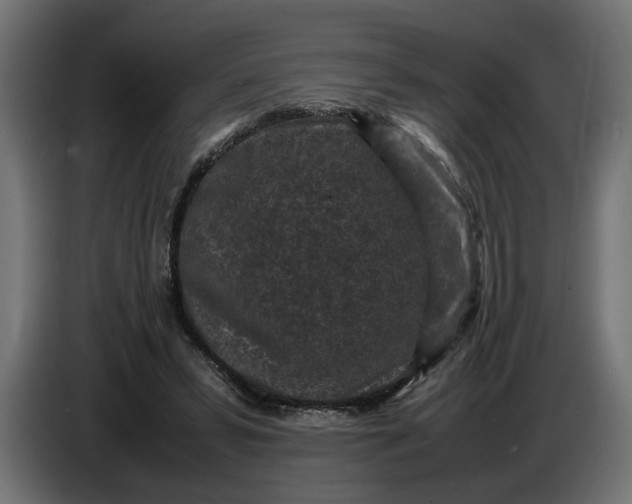 X0000087420399200705041312