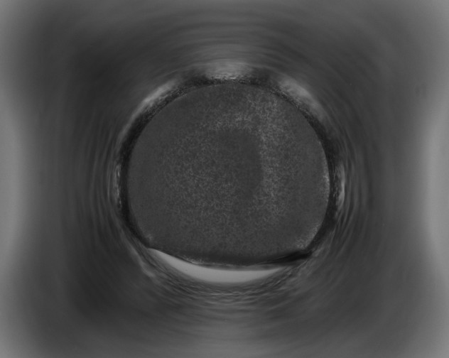 X0000087420400200705041312