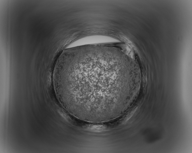 X0000087420401200705041312