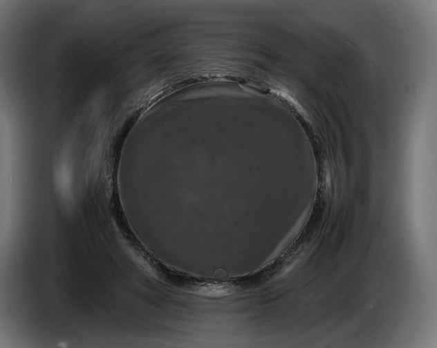 X0000087420402200705041312