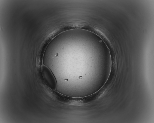X0000087420403200705041312