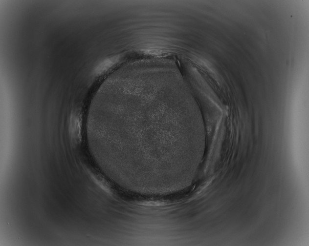 X0000087420404200705041312