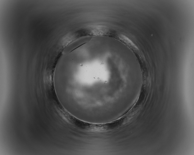 X0000087420405200705041312
