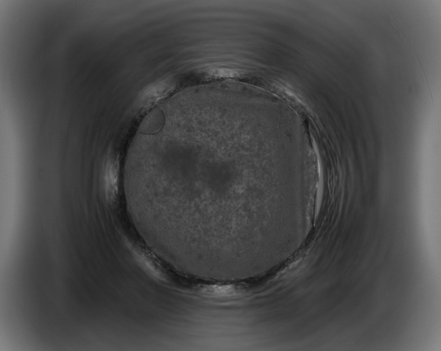 X0000087420406200705041312