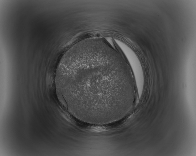 X0000087420409200705041312