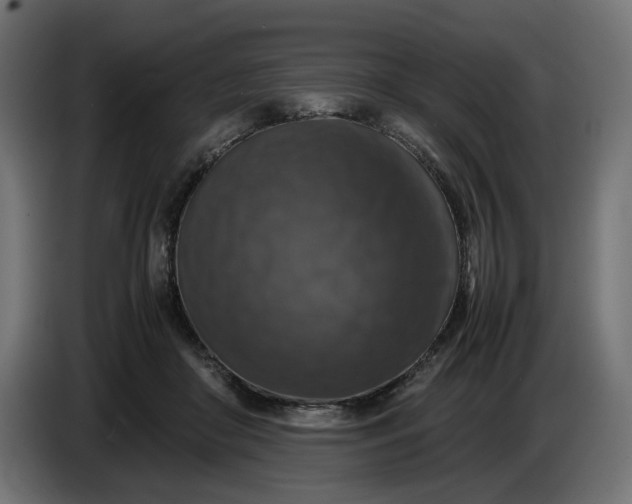 X0000087420410200705041312