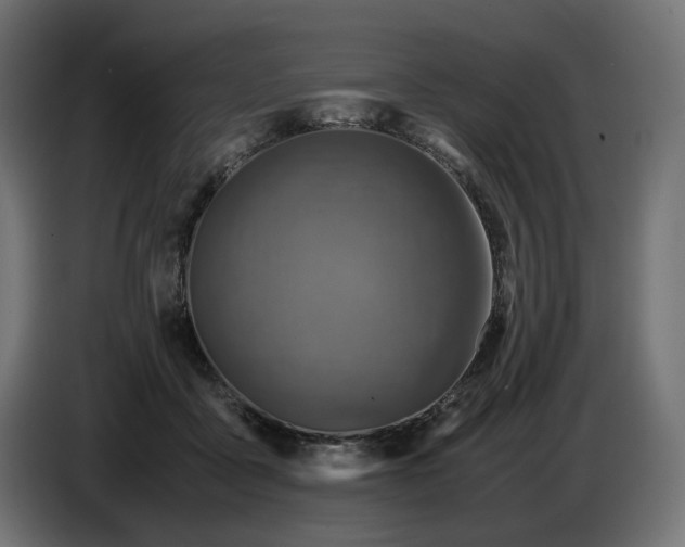 X0000087420411200705041312