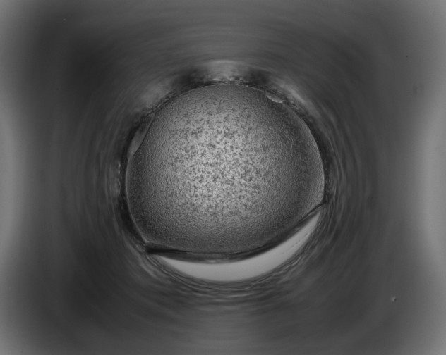 X0000087420413200705041312