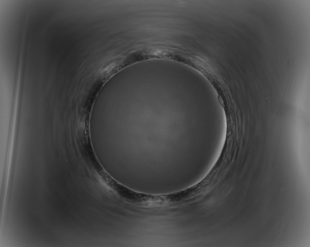 X0000087420415200705041311