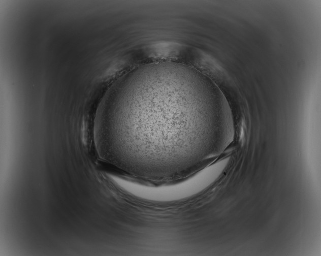 X0000087420416200705041311