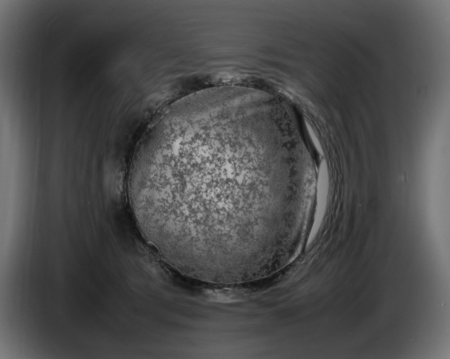 X0000087420417200705041311