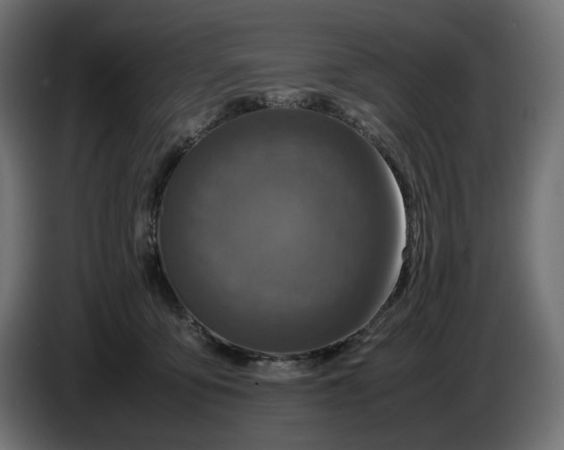 X0000087420419200705041311