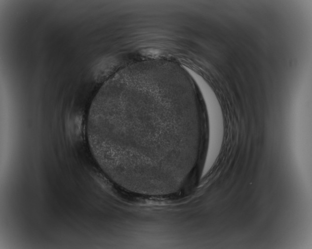 X0000087420420200705041311