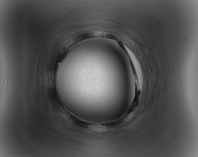 X0000087420421200705041311