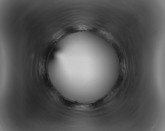 X0000087420422200705041311