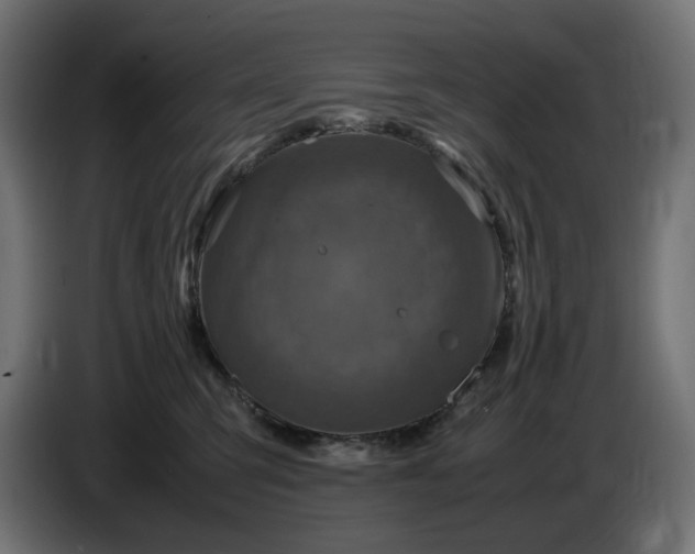 X0000087420423200705041311