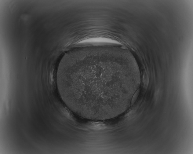 X0000087420424200705041311