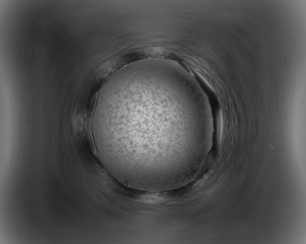 X0000087420425200705041311