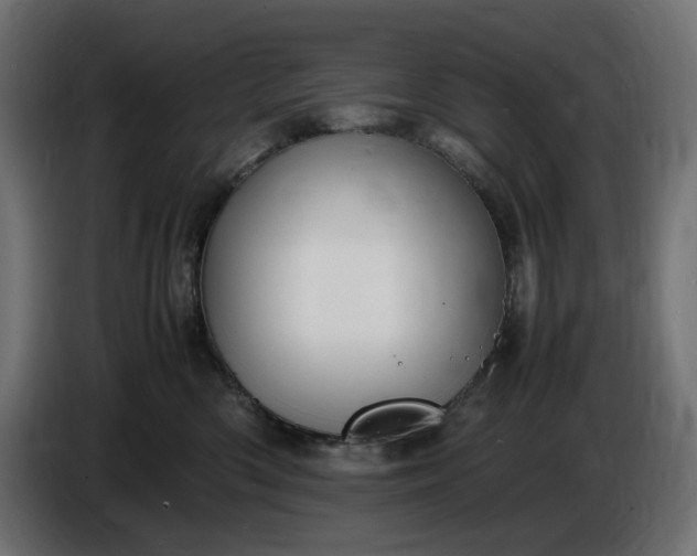 X0000087420426200705041311