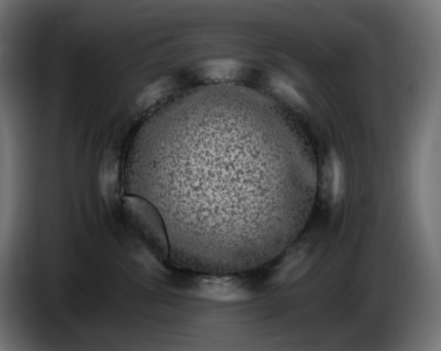 X0000087420428200705041311